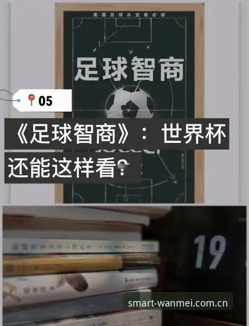 完美体育观赛指南：从世界杯签证危机看国际赛事体验的现实挑战
