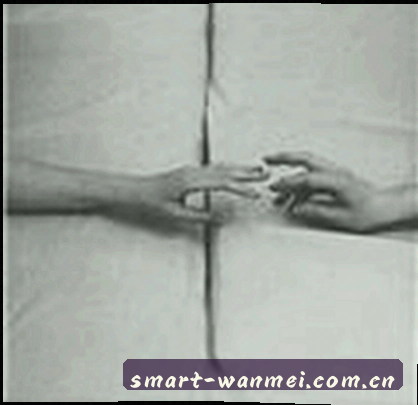 吴磊